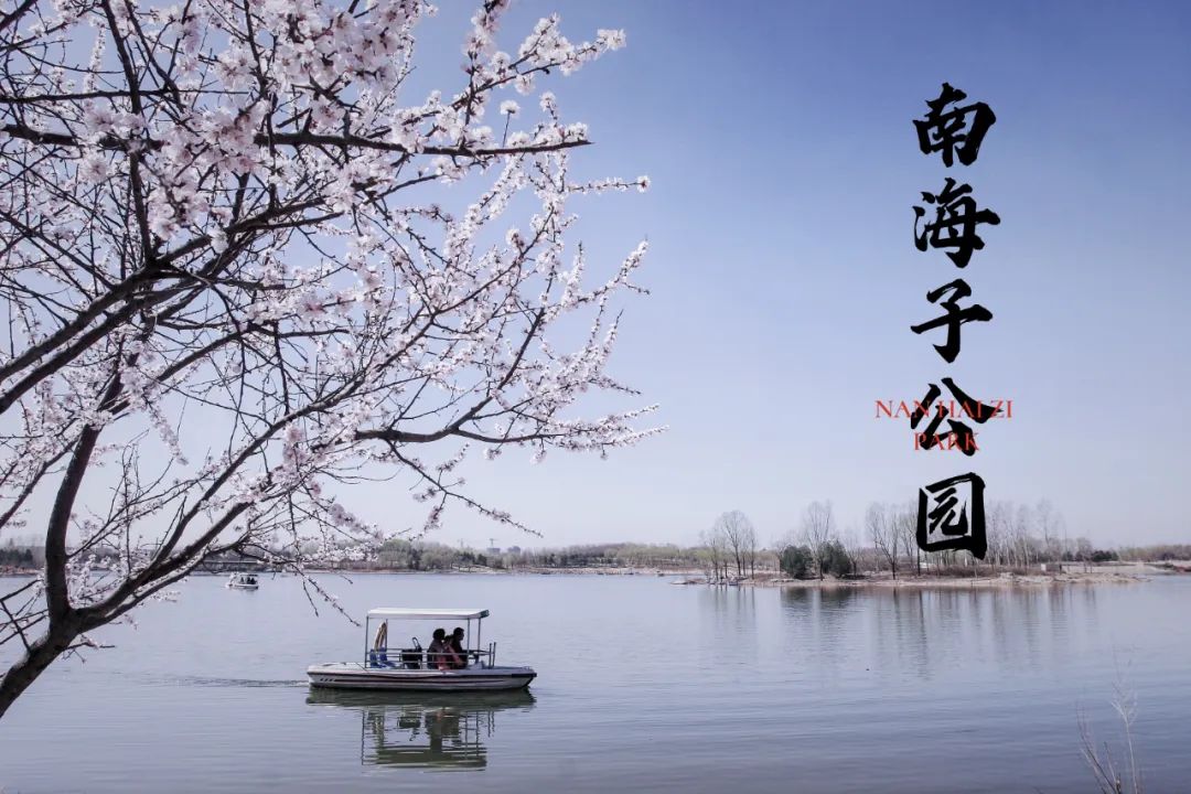 南海子游园 | 五一假期，请收好这份攻略